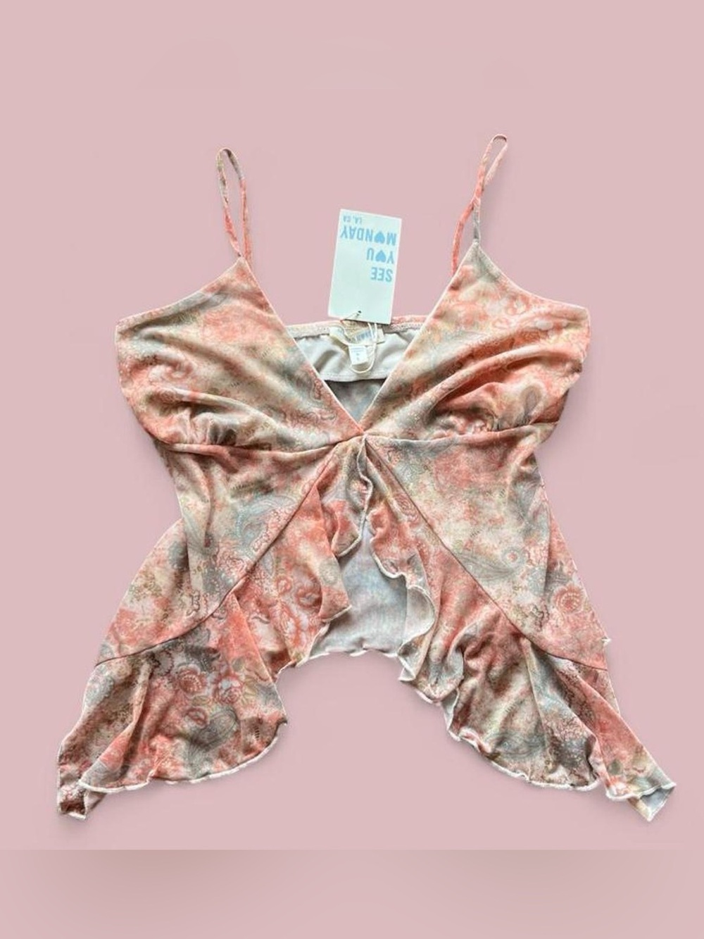 Fairycore Whimsy Pink mesh paisley floral print ruffle cami Boutique top NWT L
